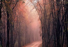 多多28：中国女排名将朱婷：在祖国比赛的感觉与众不同中国新闻网.