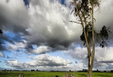 [CBA]常规赛3月31日：辽宁VS山东.