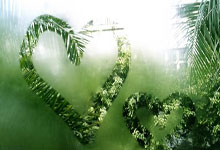 [欧冠]开局闪击 B席前场任意球直接破门.