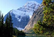 多多28：西蒙尼：我们在欧冠没输，我们赢了但被淘汰.